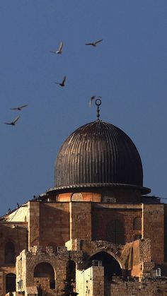 birds are flying over the dome of an old building with a minaret on top