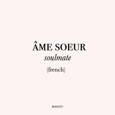 an image of the cover of a book titled'ame soeur soulmate french '