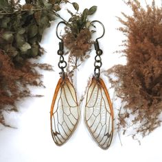 Genuine Cicada Wing Dangles. No Cicadas Were Harmed In The Making Of These Earrings. Laminated. Bronzed Hardware. Handmade. Approx. W A Little Over .5” L 2.25” Vintage Gypsy Boho Style #Winnfritt Jewelry Trendy Bohemian Hippie Tribal Spiritual Mystical Ethnic Wiccan Grunge Witch Wicca Rustic Healing Zen Serenity Peace Calming Hand Made Handcrafted Hand Crafted Teen Womens Jewelry Insect Wings Cicada Locust Nature Natural Earthy Real Insect Wings Fairy Wings Crowcore Jewelry, Goblincore Accessories, Cicada Earrings, Shifting Closet, Grunge Witch, Wings Fairy, Light Fairy, Insect Wings, Fairy Accessories