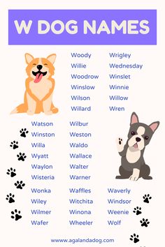 List of W Dog Names. Dog Names With Meaning, Dogs Names List, Names List, Very Good Girls