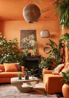 an orange living room filled with lots of plants