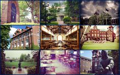 a collage of photos with buildings and trees