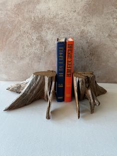 two books sit on top of each other next to some tree stumps and logs