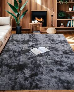 a living room filled with furniture and a large rug on top of a hard wood floor