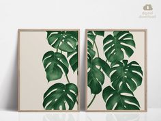 two framed paintings with green leaves on them