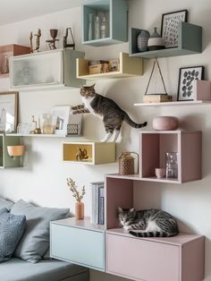 a cat sitting on top of a shelf in front of a wall filled with shelves