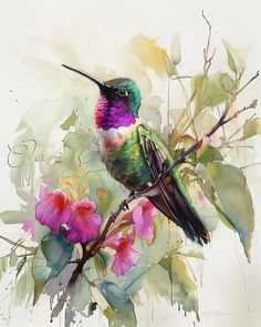 a painting of a hummingbird perched on a branch with pink flowers