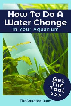 an aquarium with the words how to do a water change in your aquarium on it