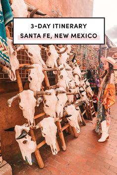 a woman standing in front of a wall full of fake cow heads with text overlay reading 3 - day itinery santa fe, new mexico