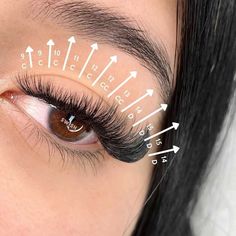 Different eyelash extension styles have developed and one of the most popular is cat eyelash extensions. Let’s find out more about this popular style. #cateyelashextensions #cateyeeyelashextensions #catlashextensions #eyelashextensions #lashextensions #classiclashes #volumelashes #classiclashextensions #volumelashextensions #pmuhub Cat Eyelash Extensions, Cat Eye Lash Extensions, Cat Eye Tutorial, Extension Styles, Eyelash Extensions Classic, Lash Ideas, Eye Lash Extensions