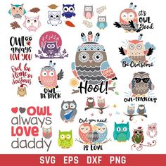 an owl svg bundle with lots of cute owls on it and the words i love you