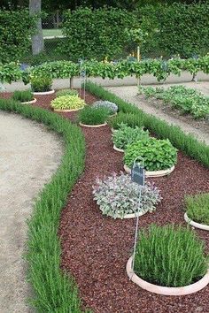 a garden filled with lots of different types of plants and trees next to each other