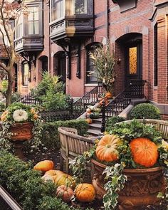 pumpkins and gourds in planters on the sidewalk