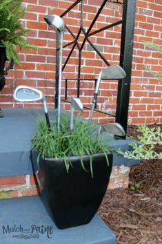 a potted plant sitting on top of a blue step next to a brick wall