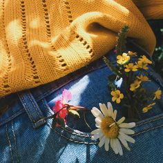 flowers are placed in the back pocket of a pair of blue jeans with yellow sweater