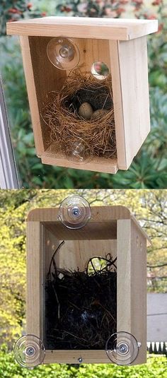 two wooden bird houses with one open and the other closed, both filled with eggs