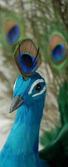 a peacock with its feathers spread out and it's head turned to the side