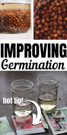 there is a jar with some food in it and the words, improve germination