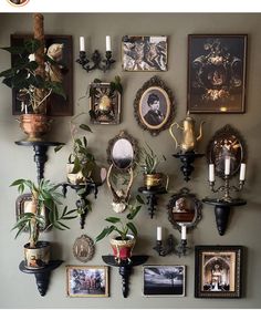 there are many pictures on the wall with candles and plants in vases next to them