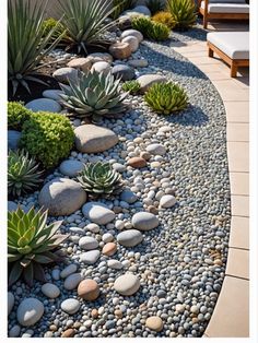 a garden with rocks and succulents in it