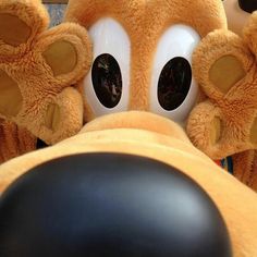 a close up of a stuffed animal with big eyes