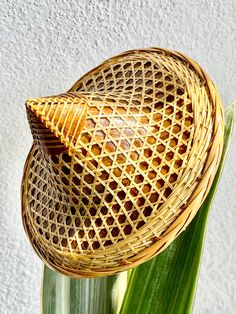 a wicker hat sitting on top of a green plant next to a white wall