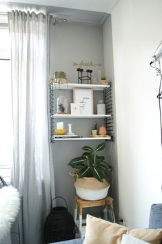 a living room filled with furniture and a plant on top of a book shelf next to a window