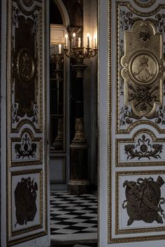 an ornate door with gold and black designs on the doors is open to let in light