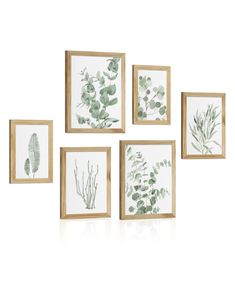 four framed pictures with green leaves on them