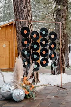 there are many records on the tree and some flowers in front of it with an orange flower