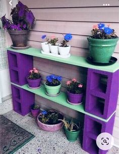 purple and green shelf with potted plants on top