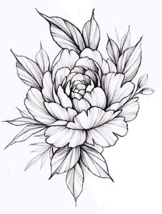 a black and white drawing of a flower