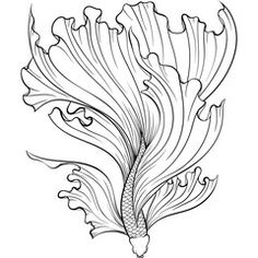 an ink drawing of a seaweed on a white background with the words,'i love