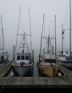 three boats docked at a dock in the fog