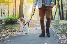 Zijn er nog plekken waar je geen andere honden tegenkomt? Wij delen met jou onze eigen tips na jarenlang een reactieve hond te hebben gehad. Exercise For Hands, Cheese Bars Recipe, Propagate Basil, Foot Reflexology Chart, Diy Facial Hair Removal, Cream Cheese Bars Recipe, Husky Training, Lovey Blanket Pattern, Southern Deserts