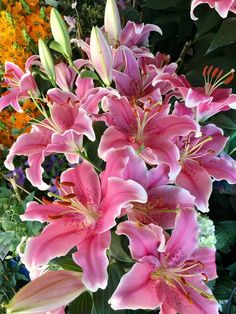 pink and white flowers are in a vase