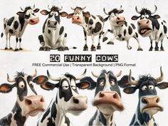 an image of funny cows with different expressions on their faces for animation purposes, and then in photoshopped to look like cartoon characters