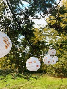 three paper lanterns hanging from a tree in a park with grass and trees behind them