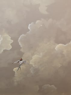 a bird flying in the sky with clouds behind it and another bird on the ground below