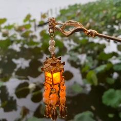 a lantern hanging from a tree branch in front of water lilies and plants with leaves around it