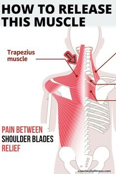 Simple release technique to release back pain and muscle knots between the shoulder blades and upper back. You'll get long-term relief from pain and tightness in the upper trapezius and mid-back pain area Trapezius Muscle Pain, Upper Back Pain Relief, Neck Pain Exercises, Lower Back Pain Exercises, Neck Exercises