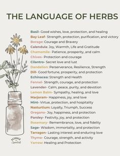 the language of herbs in a jar with flowers