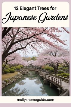 the japanese garden with text overlaying it that reads 12 elegant trees for japanese gardens