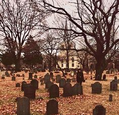 an old cemetery with many headstones and trees