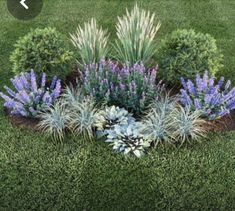 a garden with purple and white flowers in the middle of it, surrounded by green grass