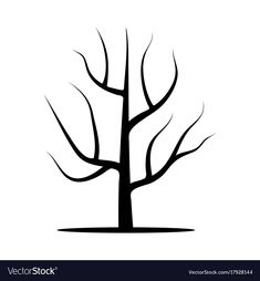 a tree without leaves on a white background