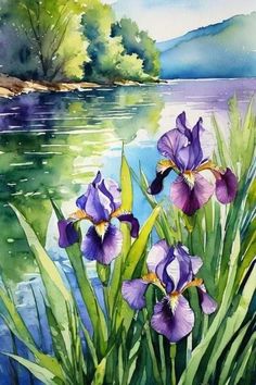 watercolor painting of purple irises by the lake