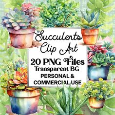 succulents clip art 20 png files - transparent & commercial use only