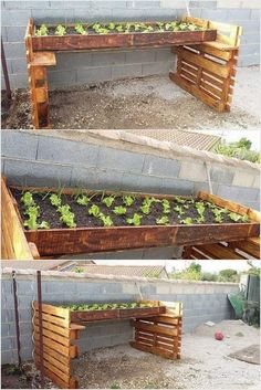 an outdoor vegetable garden made out of pallets