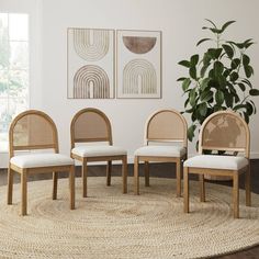 four chairs in a room with a rug and potted plant on the floor next to them